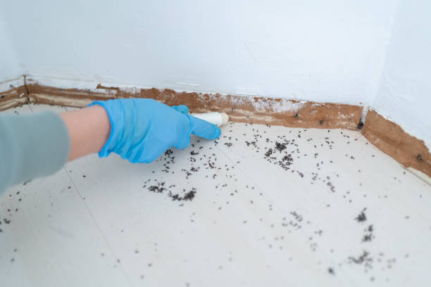 Best Residential Pest Control  in Columbus, MN